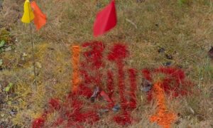 811 utility markings with flags and spray paint on a yard before digging, showing what surveying companies check